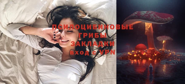 МДПВ Карпинск
