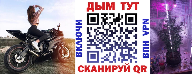 Конопля THC 21%  Купить закладки  Волосово 